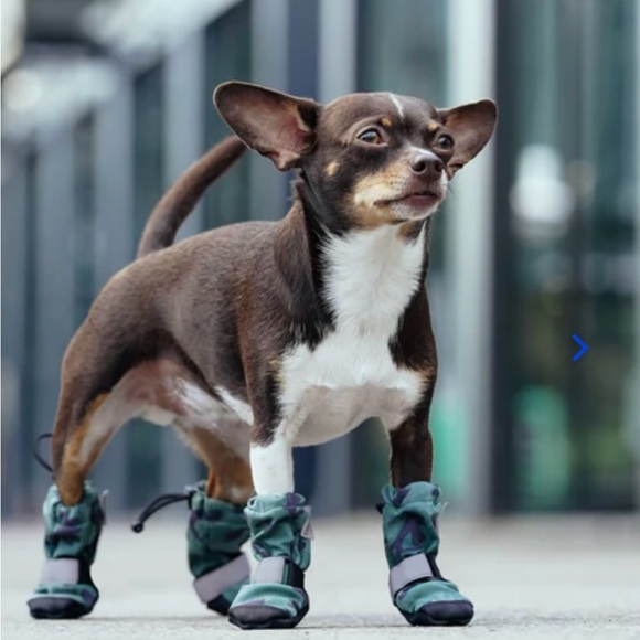 NWOT Canada Pooch Dog Soft Shield Boots - Picture 1 of 12